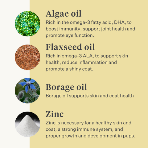 dog, puppy, salmon oil, omega-3, itchy skin, dry skin, joints, immunity, supplement, food supplement | localization: EN