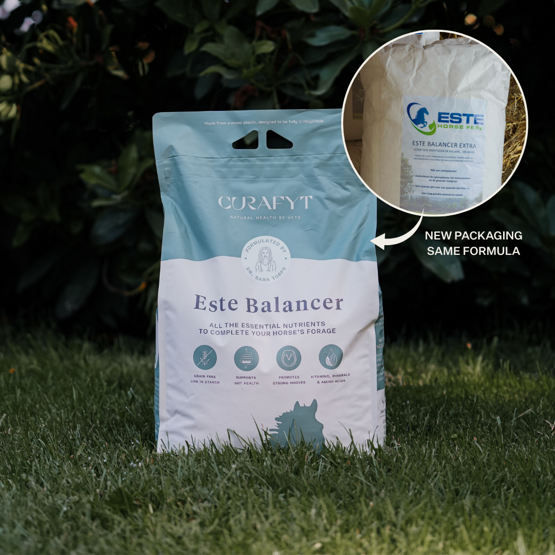 ESTE BALANCER door Dr. Sara Torfs
