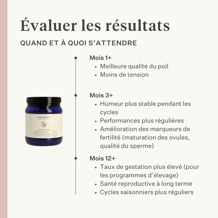 jument poulain cheval poney fertilité utérus chaleurs comportement de la jument cycle en chaleur équin équilibre hormonal | localization: FR