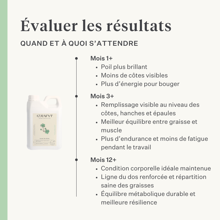 supplément huile pressée à froid endurance des chevaux poids muscles vitamine E huile de lin DHA EPA oméga-3 | localization: FR
