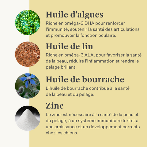 chien, chiot, huile de saumon, oméga-3, peau qui gratte, peau sèche, articulations, immunité, supplément, complément alimentaire | localization: FR