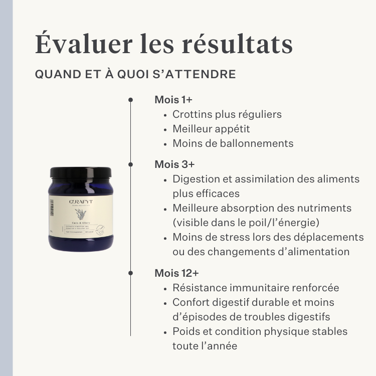 Cheval, poney, colique intestinale, gaz, ulcères gastriques, probiotiques, prébiotiques, graines de lin, diarrhée, selles aqueuses, selles molles | localization: FR