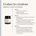 Cheval, poney, colique intestinale, gaz, ulcères gastriques, probiotiques, prébiotiques, graines de lin, diarrhée, selles aqueuses, selles molles | localization: FR