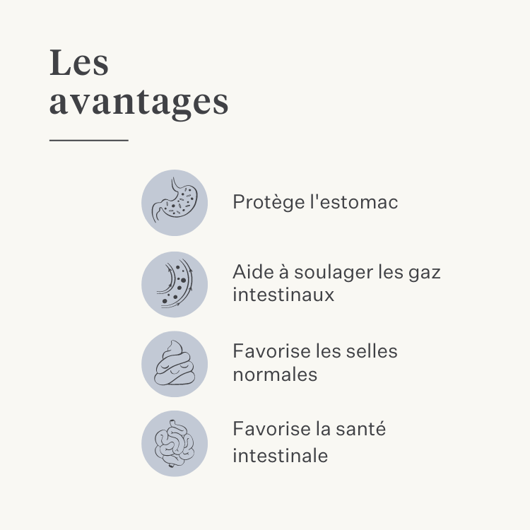 Cheval, poney, colique intestinale, gaz, ulcères gastriques, probiotiques, prébiotiques, graines de lin, diarrhée, selles aqueuses, selles molles | localization: FR