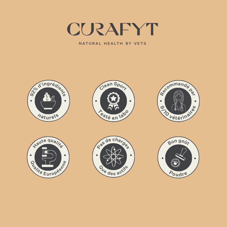 Steady&Stable Curafyt complément pour chevaux et poneys, fourbure, sensibilité des sabots, insuline, glucose, PPID, maladie de Cushing | localization: FR