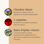 Steady&Stable Curafyt complément pour chevaux et poneys, fourbure, sensibilité des sabots, insuline, glucose, PPID, maladie de Cushing | localization: FR