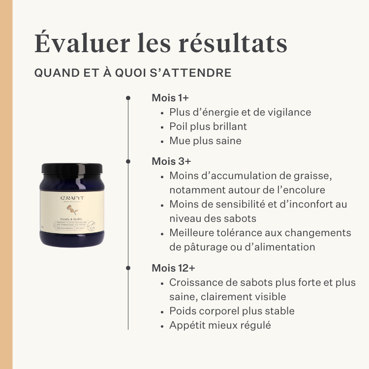 Steady&Stable Curafyt complément pour chevaux et poneys, fourbure, sensibilité des sabots, insuline, glucose, PPID, maladie de Cushing | localization: FR