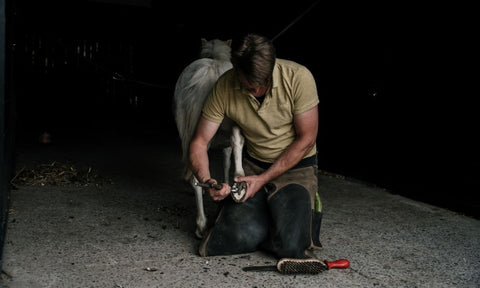 Farrier trimming a horse's hoof in a dark stable.