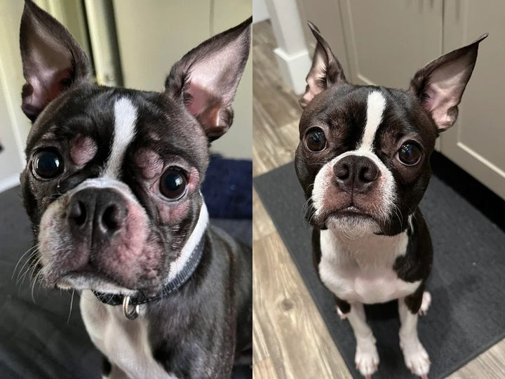 Gas & Thea, Före