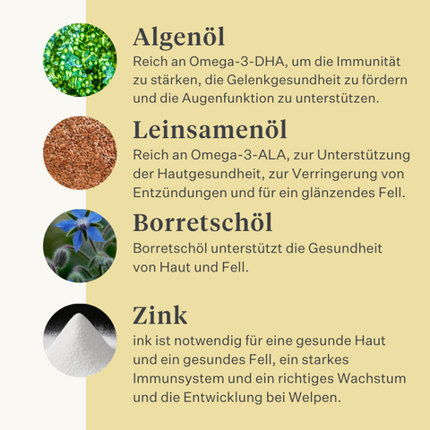 Hund, Welpe, Lachsöl, Omega-3, juckende Haut, trockene Haut, Gelenke, Immunität, Ergänzung, Nahrungsergänzungsmittel | localization: DE