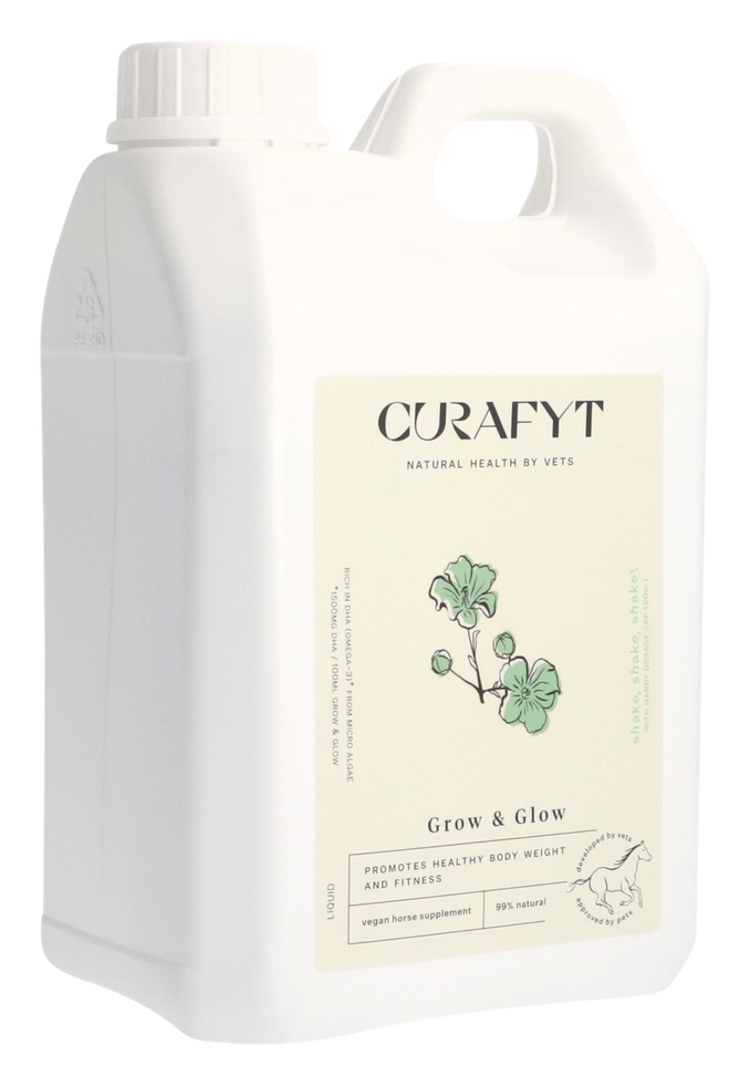 Grow & Glow 2-L-Kanister