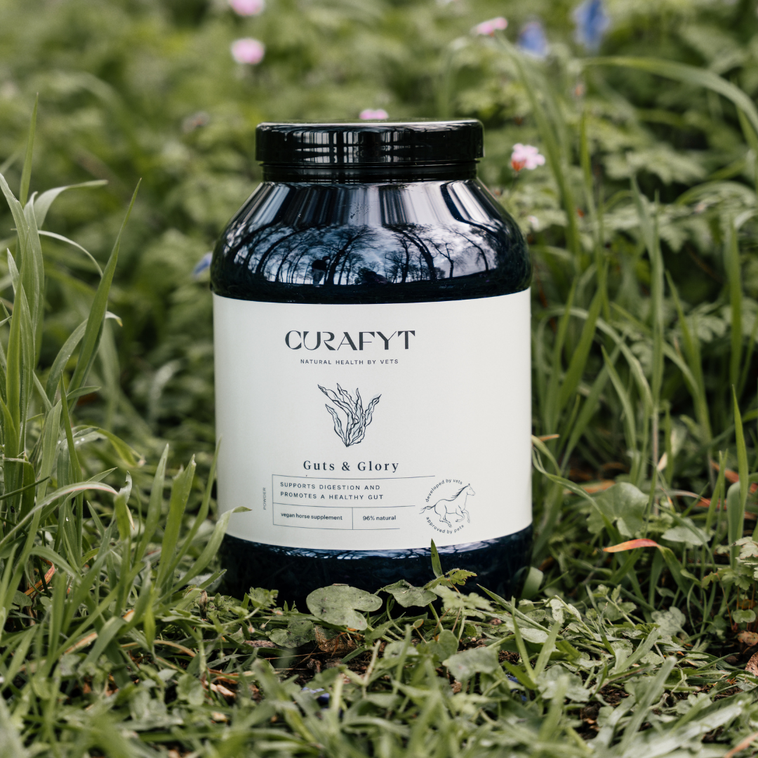 Guts & Glory Complément alimentaire