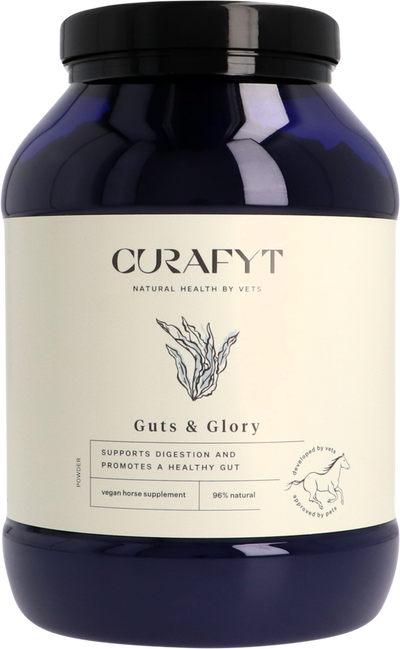Guts & Glory