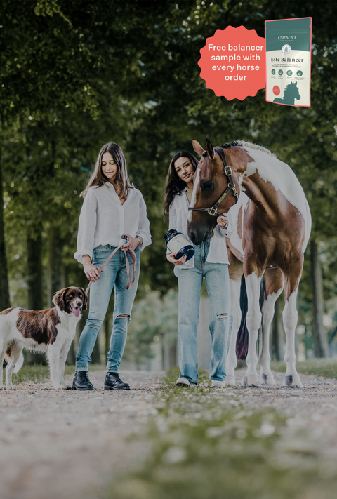 Door dierenartsen geformuleerde natuurlijke supplementen voor een gezonder paard