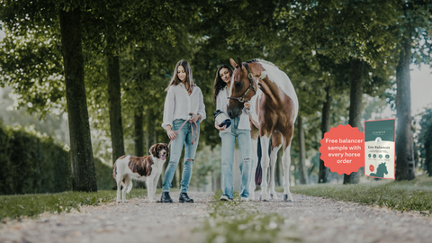 Vet formulated natural supplements for a healthier horse and dog