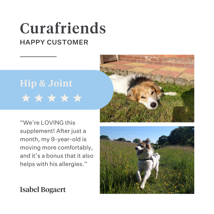 Imby Hip & Joint supplement for dogs, supports joint health and flexible movement, helps maintain healthy cartilage and mobility, supports dogs prone to stiffness or reduced flexibility, vet-formulated daily support for active and ageing dogs. | localization: EN