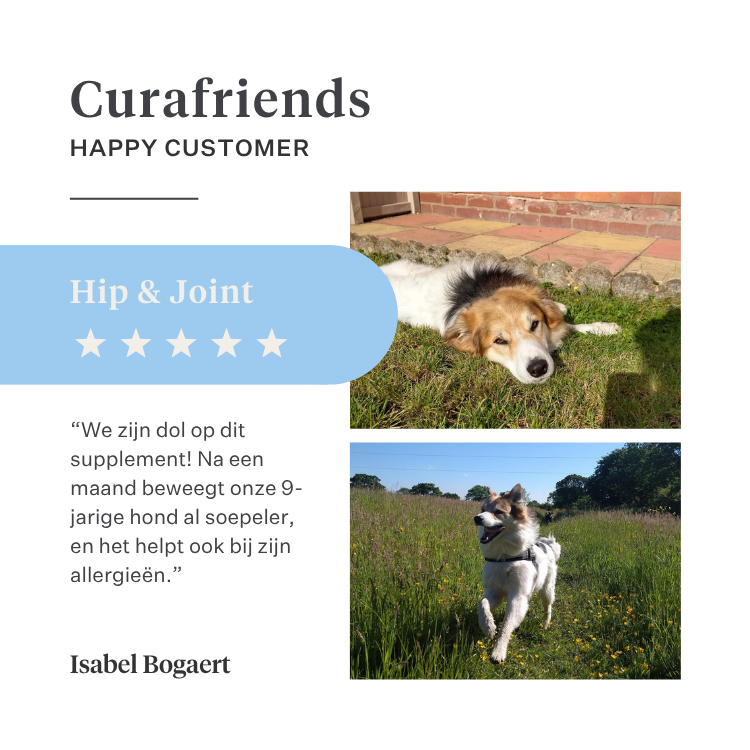 Imby Hip & Joint supplement voor honden, ondersteunt de gewrichtsgezondheid en soepele beweging, helpt gezond kraakbeen en mobiliteit te behouden, ondersteunt honden die gevoelig zijn voor stijfheid of verminderde flexibiliteit, door dierenartsen ontwikkelde dagelijkse ondersteuning voor actieve en oudere honden. | localization: NL
