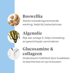 Imby Hip & Joint supplement voor honden, ondersteunt de gewrichtsgezondheid en soepele beweging, helpt gezond kraakbeen en mobiliteit te behouden, ondersteunt honden die gevoelig zijn voor stijfheid of verminderde flexibiliteit, door dierenartsen ontwikkelde dagelijkse ondersteuning voor actieve en oudere honden. | localization: NL
