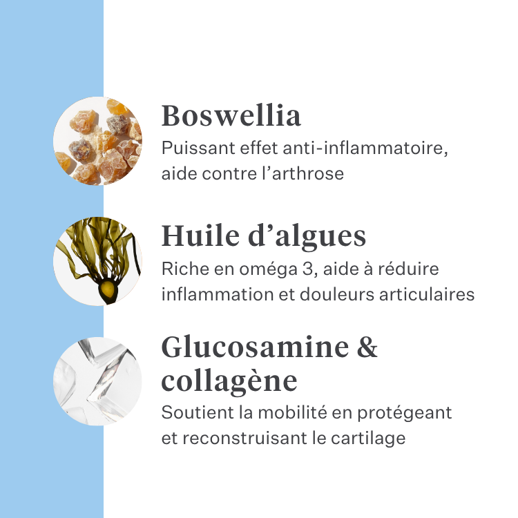 Imby Hip & Joint complément pour chiens, soutient la santé des articulations et la mobilité, aide à maintenir un cartilage sain et des mouvements fluides, soutient les chiens sujets à la raideur ou à une perte de flexibilité, formule développée par des vétérinaires adaptée à un usage quotidien pour chiens actifs et âgés. | localization: FR