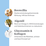 Imby Hip & Joint Ergänzungsfuttermittel für Hunde, unterstützt die Gelenkgesundheit und flexible Bewegung, hilft gesunden Knorpel und Mobilität zu erhalten, unterstützt Hunde mit Neigung zu Steifheit oder eingeschränkter Beweglichkeit, von Tierärzten entwickelte tägliche Unterstützung für aktive und ältere Hunde. | localization: DE