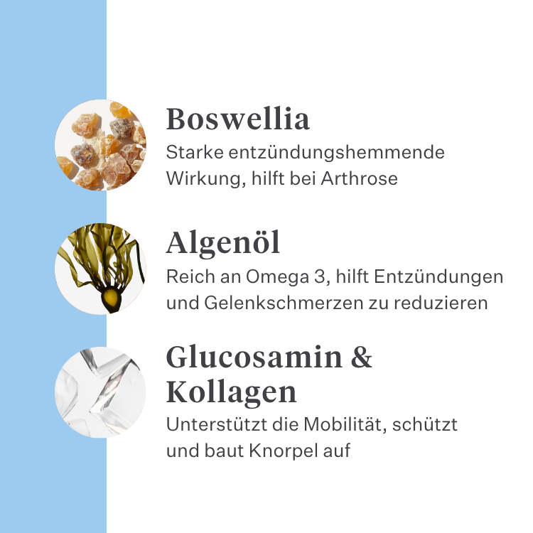 Imby Hip & Joint Ergänzungsfuttermittel für Hunde, unterstützt die Gelenkgesundheit und flexible Bewegung, hilft gesunden Knorpel und Mobilität zu erhalten, unterstützt Hunde mit Neigung zu Steifheit oder eingeschränkter Beweglichkeit, von Tierärzten entwickelte tägliche Unterstützung für aktive und ältere Hunde. | localization: DE