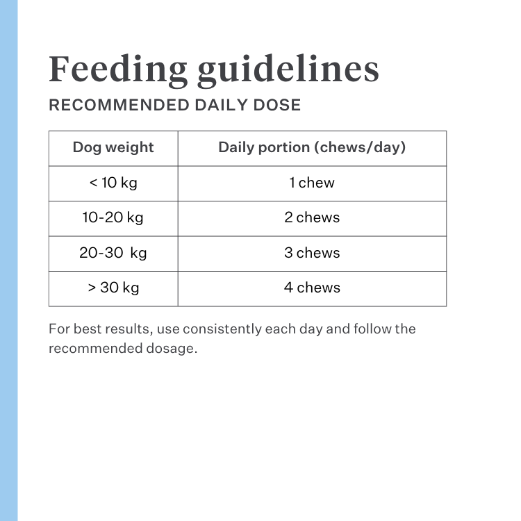 Imby Hip & Joint supplement for dogs, supports joint health and flexible movement, helps maintain healthy cartilage and mobility, supports dogs prone to stiffness or reduced flexibility, vet-formulated daily support for active and ageing dogs. | localization: EN