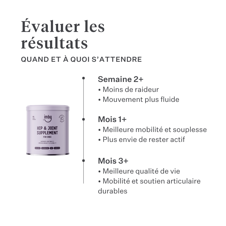 Imby Hip & Joint complément pour chiens, soutient la santé des articulations et la mobilité, aide à maintenir un cartilage sain et des mouvements fluides, soutient les chiens sujets à la raideur ou à une perte de flexibilité, formule développée par des vétérinaires adaptée à un usage quotidien pour chiens actifs et âgés. | localization: FR