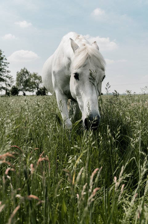 Talk about your brand