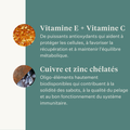Este Balancer complément alimentaire pour chevaux, CMV développé par la vétérinaire équine Dr. Sara Torfs, complète les rations à base de fourrage avec vitamines, minéraux et graisses saines pour la brillance du poil, des sabots solides et une bonne santé digestive. | localization: FR