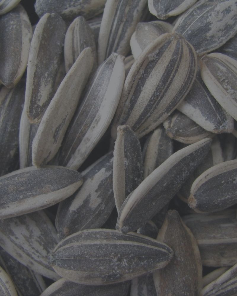 Natural Vitamine E