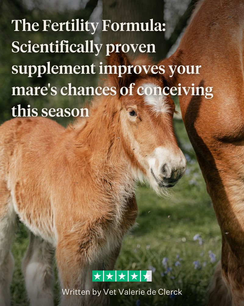 The Fertility Formula 