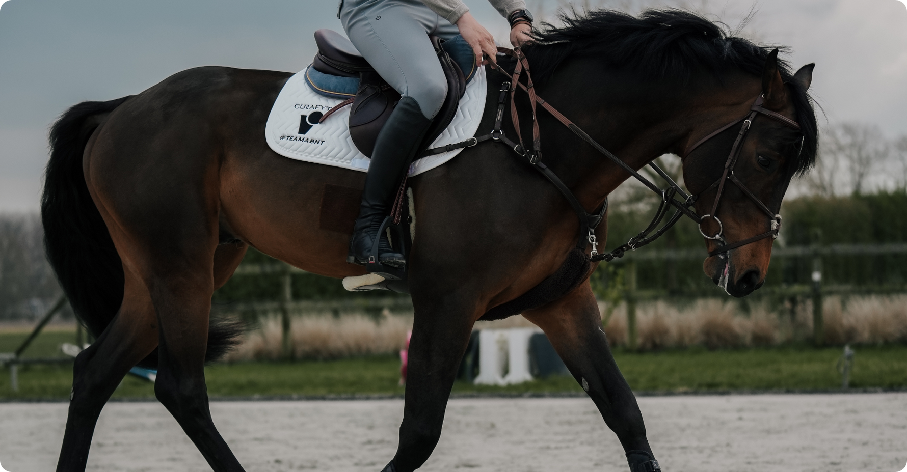 Horse Riding