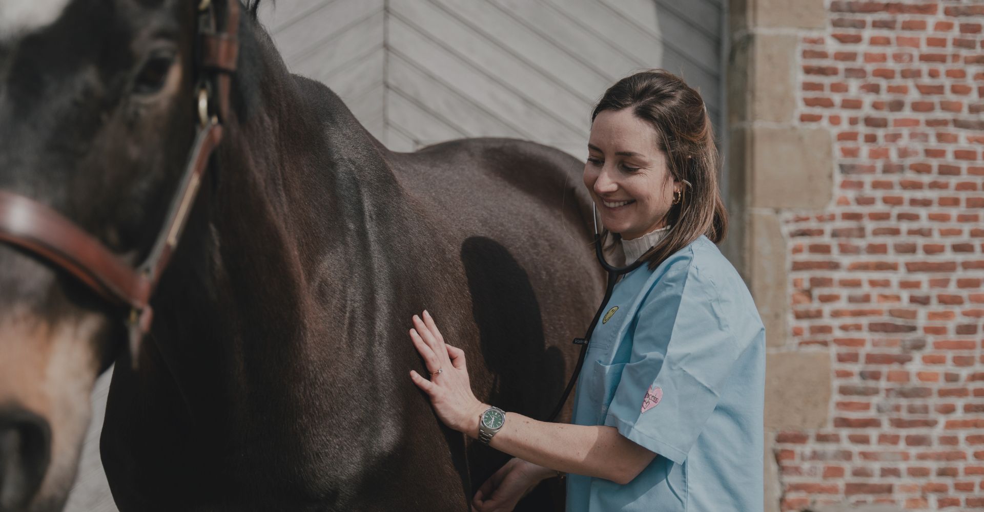 Horse Vet Valerie