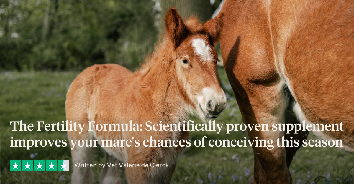 The Fertility Formula 