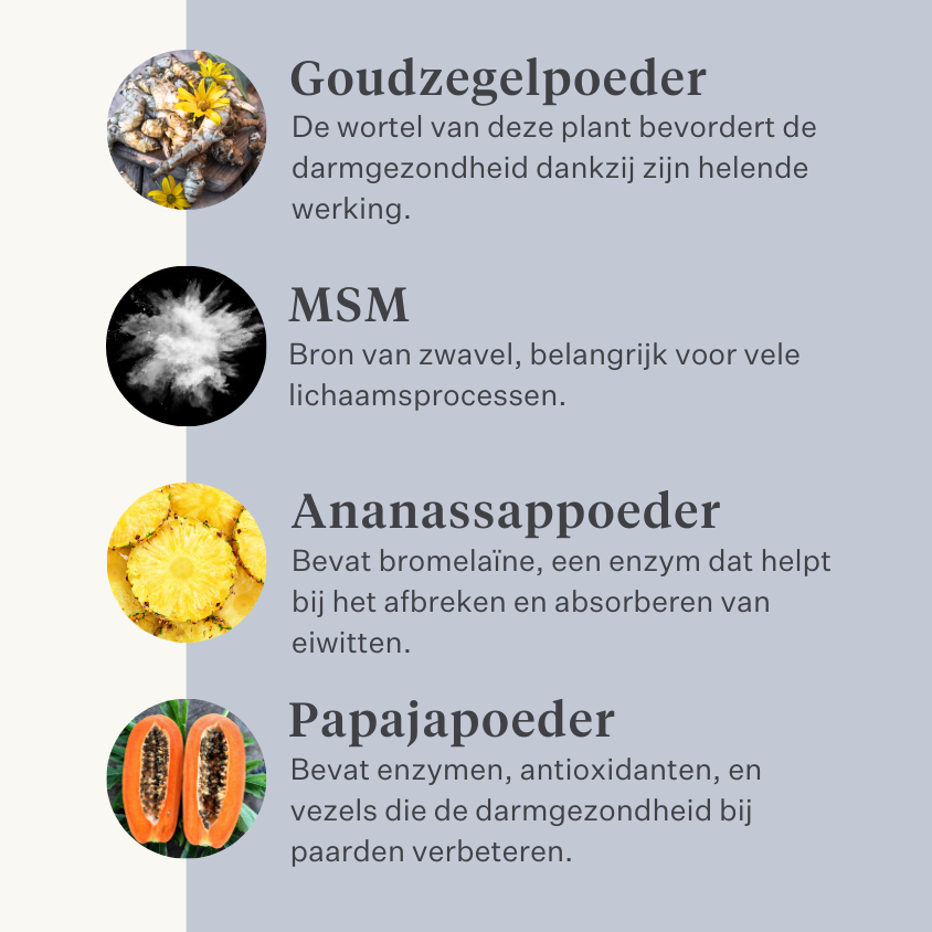Paard, pony, koliek, gas, maagzweren, probiotica, prebiotica, lijnzaad, diarree, waterige ontlasting, mestwater | localization: NL