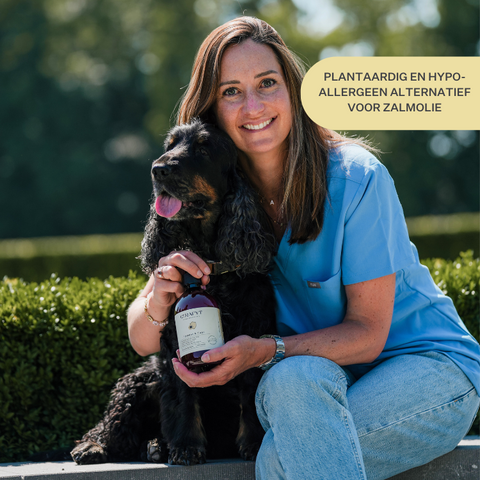 hond, puppy, zalmolie, omega-3, jeukende huid, droge huid, gewrichten, immuniteit, supplement, voedingssupplement | localization: NL