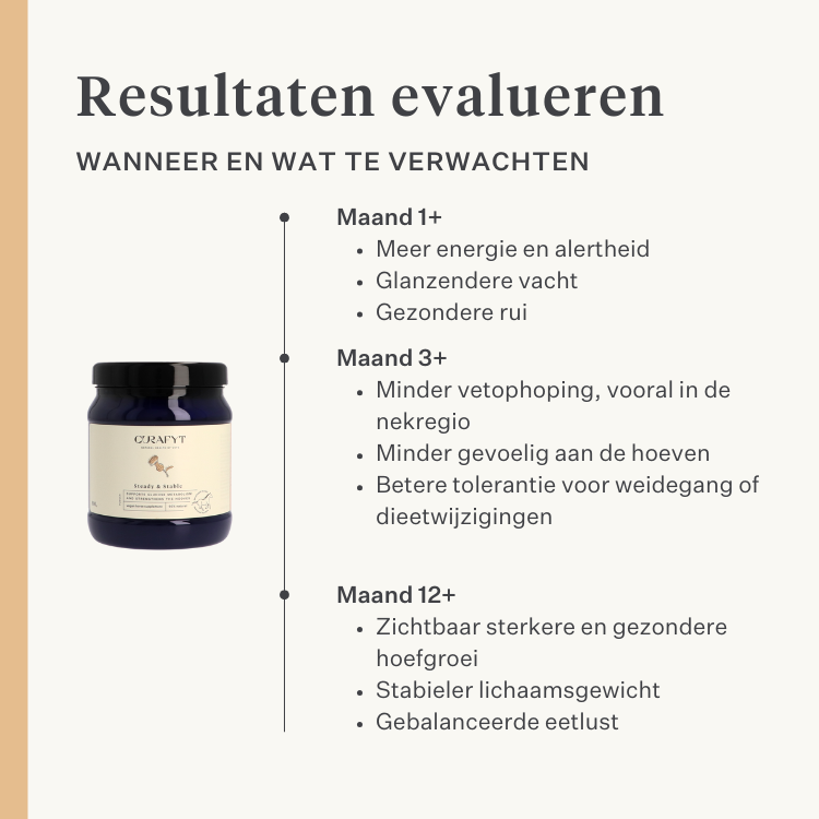 Steady&Stable Curafyt supplement paard pony laminitis hoefbevangenheid hoeven hoef gevoelig insuline glucose ppid cushing | localization: NL