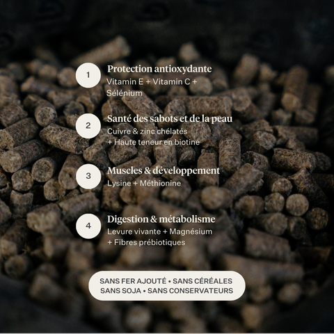 Pet food pellets with nutritional information text overlay on a dark background