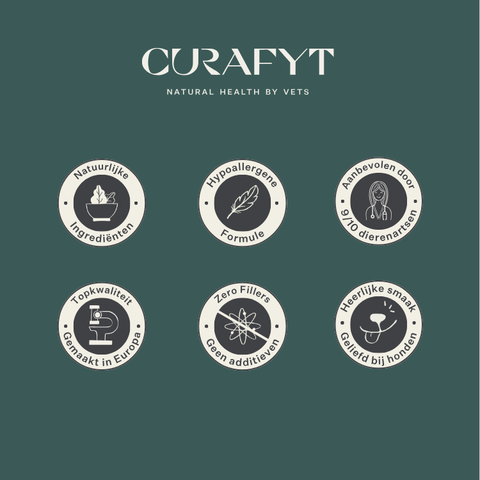 Imby Plant Based hondenvoer, volledig vleesvrij droogvoer voor honden, op basis van plantaardige eiwitten en natuurlijke superfoods, ondersteunt de spijsvertering en het algemeen welzijn, hypoallergene en caloriearme formule, uitgebalanceerde voeding ontwikkeld door dierenartsen, zeer smakelijke brok. | localization: NL