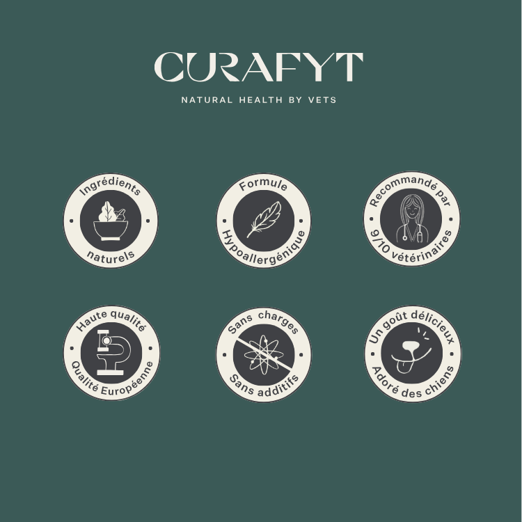 Imby Plant Based nourriture pour chiens, aliment sec complet sans viande pour chiens, à base de protéines végétales et de superaliments naturels, soutient la digestion et le bien-être général, formule hypoallergénique et faible en calories, nutrition équilibrée développée par des vétérinaires, croquettes très appétentes. | localization: FR