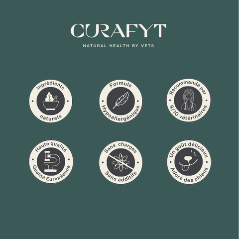 Imby Plant Based nourriture pour chiens, aliment sec complet sans viande pour chiens, à base de protéines végétales et de superaliments naturels, soutient la digestion et le bien-être général, formule hypoallergénique et faible en calories, nutrition équilibrée développée par des vétérinaires, croquettes très appétentes. | localization: FR