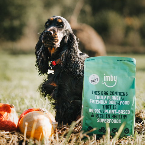 IMBY Plant-Based Croquettes pour chien