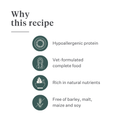 Imby Plant Based dog food, complete meat-free dry food for dogs, made with plant-based proteins and natural superfoods, supports digestion and overall wellbeing, hypoallergenic and low-calorie formula, balanced nutrition developed by vets, highly palatable kibble. | localization: EN