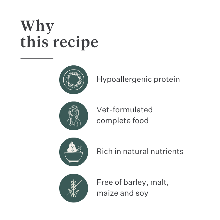 Imby Plant Based dog food, complete meat-free dry food for dogs, made with plant-based proteins and natural superfoods, supports digestion and overall wellbeing, hypoallergenic and low-calorie formula, balanced nutrition developed by vets, highly palatable kibble. | localization: EN