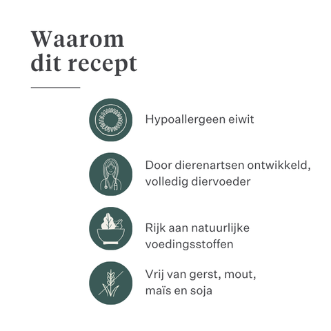 Imby Plant Based hondenvoer, volledig vleesvrij droogvoer voor honden, op basis van plantaardige eiwitten en natuurlijke superfoods, ondersteunt de spijsvertering en het algemeen welzijn, hypoallergene en caloriearme formule, uitgebalanceerde voeding ontwikkeld door dierenartsen, zeer smakelijke brok. | localization: NL