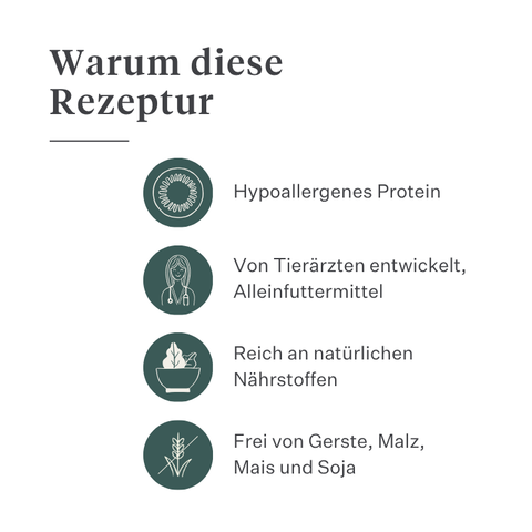Imby Plant Based Hundefutter, vollständiges fleischfreies Trockenfutter für Hunde, auf Basis pflanzlicher Proteine und natürlicher Superfoods, unterstützt die Verdauung und das allgemeine Wohlbefinden, hypoallergene und kalorienarme Formel, ausgewogene Ernährung entwickelt von Tierärzten, sehr schmackhafte Kroketten. | localization: DE