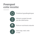 Imby Plant Based nourriture pour chiens, aliment sec complet sans viande pour chiens, à base de protéines végétales et de superaliments naturels, soutient la digestion et le bien-être général, formule hypoallergénique et faible en calories, nutrition équilibrée développée par des vétérinaires, croquettes très appétentes. | localization: FR