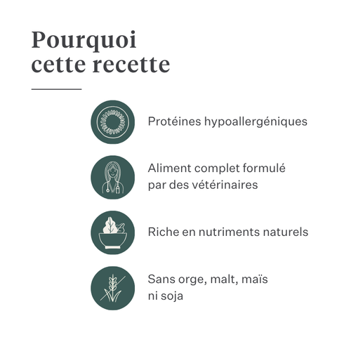 Imby Plant Based nourriture pour chiens, aliment sec complet sans viande pour chiens, à base de protéines végétales et de superaliments naturels, soutient la digestion et le bien-être général, formule hypoallergénique et faible en calories, nutrition équilibrée développée par des vétérinaires, croquettes très appétentes. | localization: FR