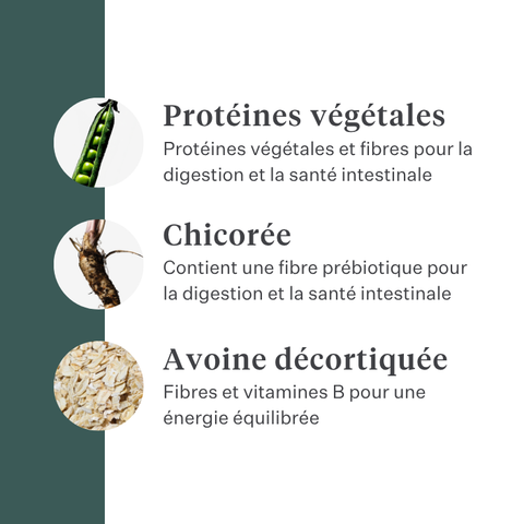 Imby Plant Based nourriture pour chiens, aliment sec complet sans viande pour chiens, à base de protéines végétales et de superaliments naturels, soutient la digestion et le bien-être général, formule hypoallergénique et faible en calories, nutrition équilibrée développée par des vétérinaires, croquettes très appétentes. | localization: FR