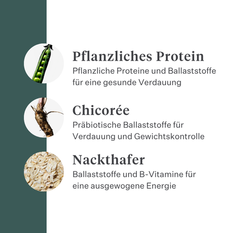 Imby Plant Based Hundefutter, vollständiges fleischfreies Trockenfutter für Hunde, auf Basis pflanzlicher Proteine und natürlicher Superfoods, unterstützt die Verdauung und das allgemeine Wohlbefinden, hypoallergene und kalorienarme Formel, ausgewogene Ernährung entwickelt von Tierärzten, sehr schmackhafte Kroketten. | localization: DE